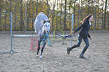 Badyhoeve is een terrein dat tot 3kinderen en hun pony's met de hond Djackson behoort.
