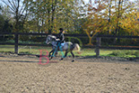 Badyhoeve is een terrein dat tot 3kinderen en hun pony's met de hond Djackson behoort.