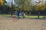 Badyhoeve is een terrein dat tot 3kinderen en hun pony's met de hond Djackson behoort.