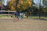 Badyhoeve is een terrein dat tot 3kinderen en hun pony's met de hond Djackson behoort.