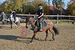 Badyhoeve is een terrein dat tot 3kinderen en hun pony's met de hond Djackson behoort.