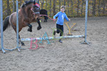 Badyhoeve is een terrein dat tot 3kinderen en hun pony's met de hond Djackson behoort.