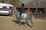 Badyhoeve is een terrein dat tot 3kinderen en hun pony's met de hond Djackson behoort.