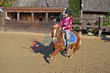 Badyhoeve is een terrein dat tot 3kinderen en hun pony's met de hond Djackson behoort.
