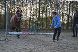 Badyhoeve is een terrein dat tot 3kinderen en hun pony's met de hond Djackson behoort.