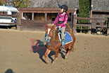 Badyhoeve is een terrein dat tot 3kinderen en hun pony's met de hond Djackson behoort.