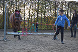 Badyhoeve is een terrein dat tot 3kinderen en hun pony's met de hond Djackson behoort.