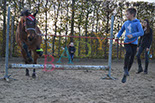 Badyhoeve is een terrein dat tot 3kinderen en hun pony's met de hond Djackson behoort.