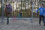 Badyhoeve is een terrein dat tot 3kinderen en hun pony's met de hond Djackson behoort.