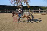 Badyhoeve is een terrein dat tot 3kinderen en hun pony's met de hond Djackson behoort.