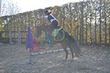 Badyhoeve is een terrein dat tot 3kinderen en hun pony's met de hond Djackson behoort.