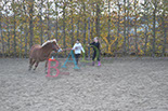 Badyhoeve is een terrein dat tot 3kinderen en hun pony's met de hond Djackson behoort.