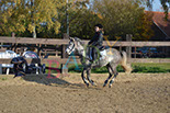 Badyhoeve is een terrein dat tot 3kinderen en hun pony's met de hond Djackson behoort.