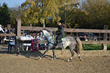 Badyhoeve is een terrein dat tot 3kinderen en hun pony's met de hond Djackson behoort.