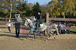 Badyhoeve is een terrein dat tot 3kinderen en hun pony's met de hond Djackson behoort.