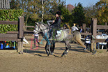 Badyhoeve is een terrein dat tot 3kinderen en hun pony's met de hond Djackson behoort.