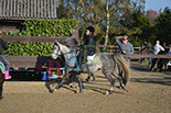 Badyhoeve is een terrein dat tot 3kinderen en hun pony's met de hond Djackson behoort.