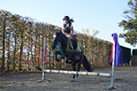 Badyhoeve is een terrein dat tot 3kinderen en hun pony's met de hond Djackson behoort.