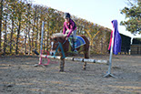 Badyhoeve is een terrein dat tot 3kinderen en hun pony's met de hond Djackson behoort.