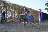 Badyhoeve is een terrein dat tot 3kinderen en hun pony's met de hond Djackson behoort.