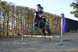 Badyhoeve is een terrein dat tot 3kinderen en hun pony's met de hond Djackson behoort.