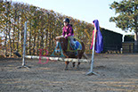 Badyhoeve is een terrein dat tot 3kinderen en hun pony's met de hond Djackson behoort.