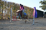 Badyhoeve is een terrein dat tot 3kinderen en hun pony's met de hond Djackson behoort.