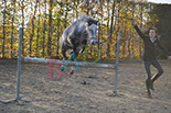 Badyhoeve is een terrein dat tot 3kinderen en hun pony's met de hond Djackson behoort.