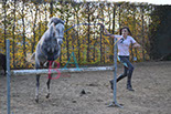 Badyhoeve is een terrein dat tot 3kinderen en hun pony's met de hond Djackson behoort.