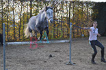 Badyhoeve is een terrein dat tot 3kinderen en hun pony's met de hond Djackson behoort.