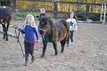 Badyhoeve is een terrein dat tot 3kinderen en hun pony's met de hond Djackson behoort.