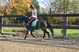 Badyhoeve is een terrein dat tot 3kinderen en hun pony's met de hond Djackson behoort.