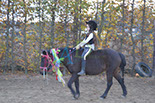 Badyhoeve is een terrein dat tot 3kinderen en hun pony's met de hond Djackson behoort.
