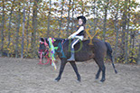Badyhoeve is een terrein dat tot 3kinderen en hun pony's met de hond Djackson behoort.