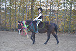 Badyhoeve is een terrein dat tot 3kinderen en hun pony's met de hond Djackson behoort.