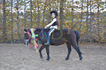 Badyhoeve is een terrein dat tot 3kinderen en hun pony's met de hond Djackson behoort.