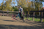 Badyhoeve is een terrein dat tot 3kinderen en hun pony's met de hond Djackson behoort.