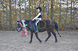 Badyhoeve is een terrein dat tot 3kinderen en hun pony's met de hond Djackson behoort.