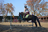 Badyhoeve is een terrein dat tot 3kinderen en hun pony's met de hond Djackson behoort.