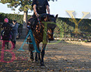 Badyhoeve is een terrein dat tot 3kinderen en hun pony's met de hond Djackson behoort.