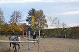 Badyhoeve is een terrein dat tot 3kinderen en hun pony's met de hond Djackson behoort.