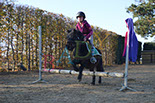 Badyhoeve is een terrein dat tot 3kinderen en hun pony's met de hond Djackson behoort.