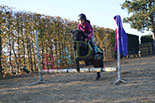 Badyhoeve is een terrein dat tot 3kinderen en hun pony's met de hond Djackson behoort.
