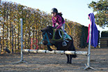 Badyhoeve is een terrein dat tot 3kinderen en hun pony's met de hond Djackson behoort.