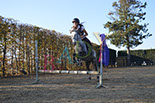 Badyhoeve is een terrein dat tot 3kinderen en hun pony's met de hond Djackson behoort.