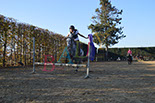 Badyhoeve is een terrein dat tot 3kinderen en hun pony's met de hond Djackson behoort.