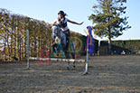 Badyhoeve is een terrein dat tot 3kinderen en hun pony's met de hond Djackson behoort.