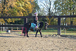 Badyhoeve is een terrein dat tot 3kinderen en hun pony's met de hond Djackson behoort.
