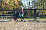 Badyhoeve is een terrein dat tot 3kinderen en hun pony's met de hond Djackson behoort.