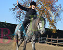 Badyhoeve is een terrein dat tot 3kinderen en hun pony's met de hond Djackson behoort.
